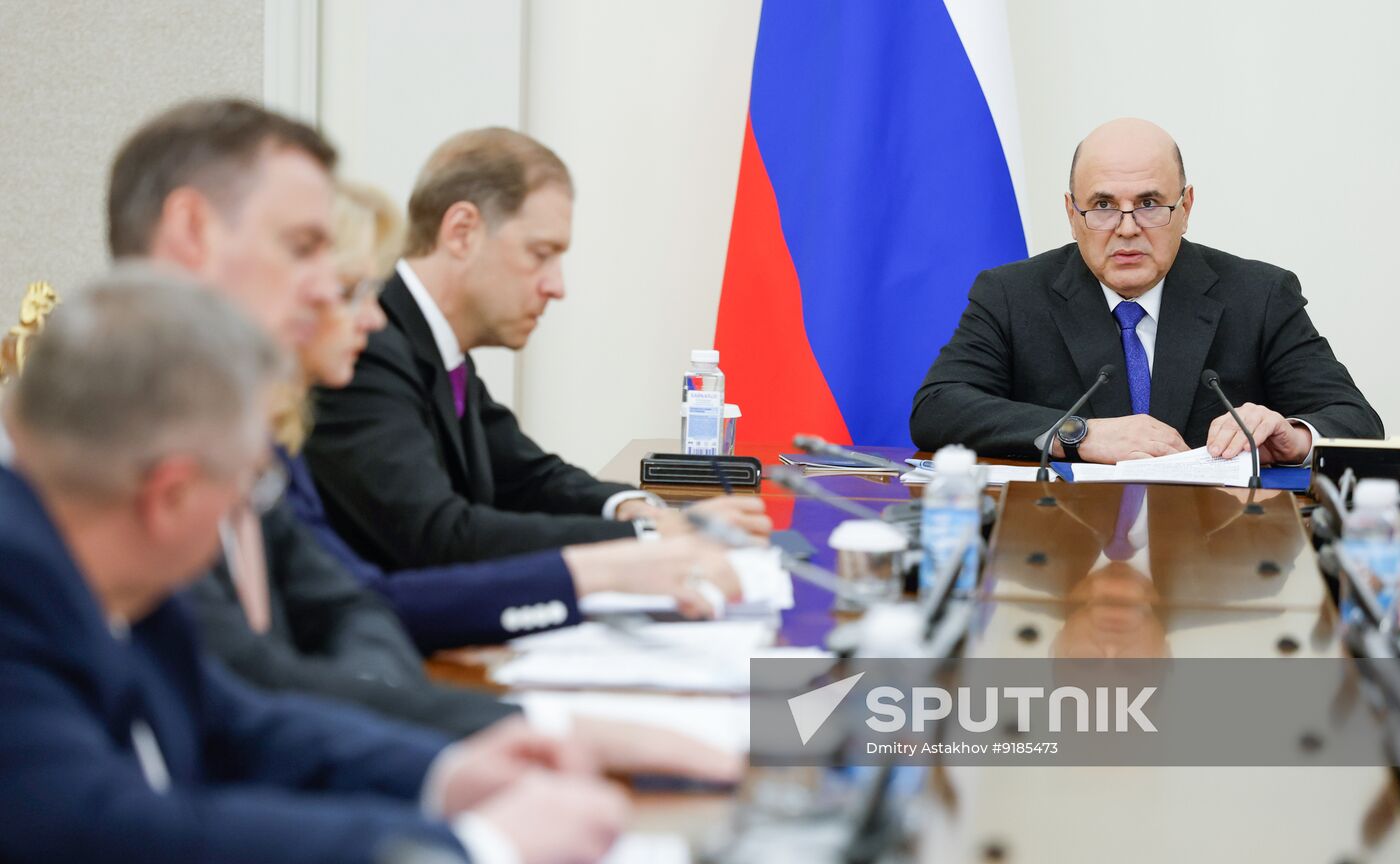 Russia Mishustin Deputies