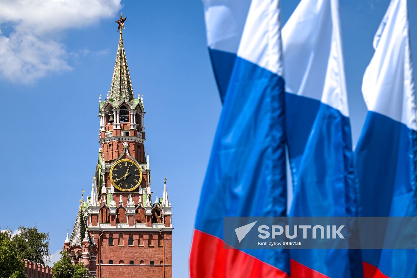 Russia Day Decorations