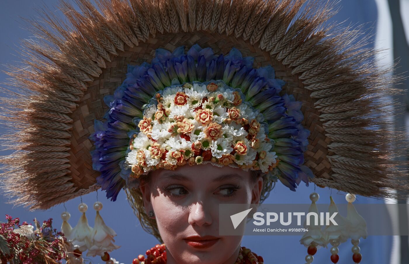 Russia Day Celebrations