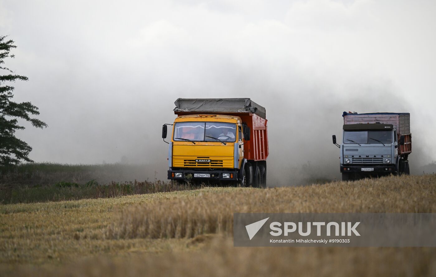 Russia Agriculture Barley Harvesting