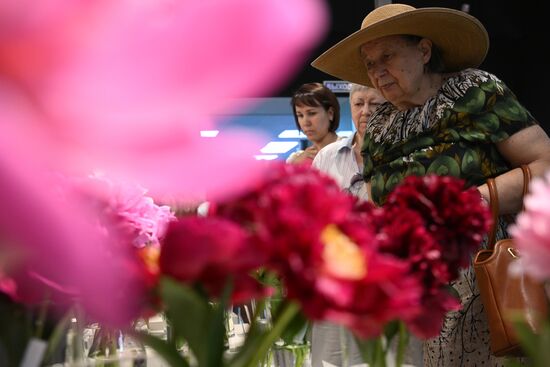 Russia Peony Exhibition