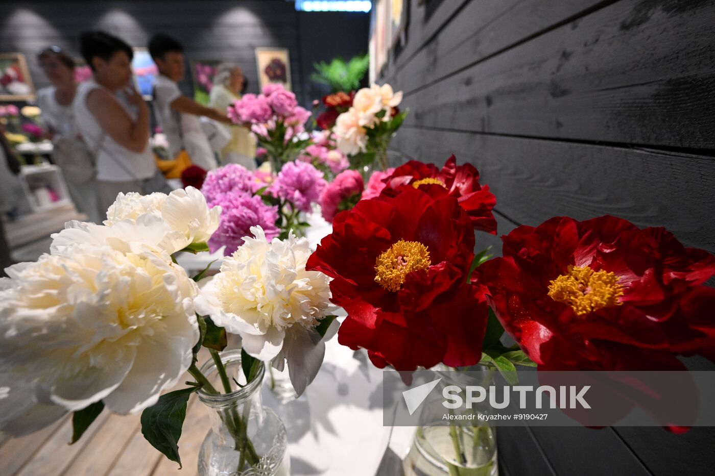 Russia Peony Exhibition