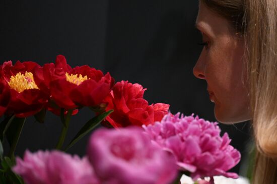 Russia Peony Exhibition