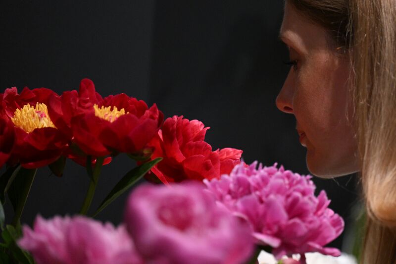 Russia Peony Exhibition