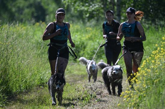 Russia Dog Triathlon