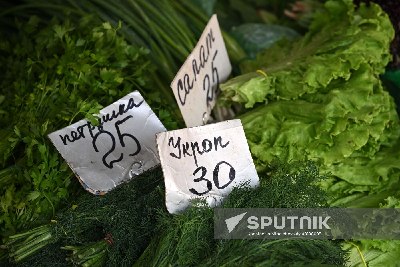 Russia Crimea Produce Market