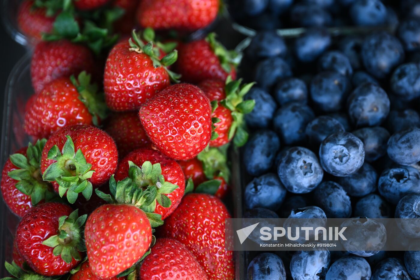 Russia Crimea Produce Market