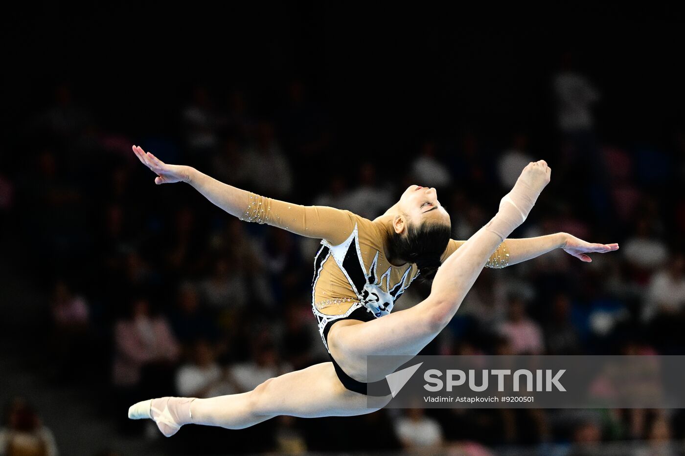 Russia Artistic Gymnastics Championships Women