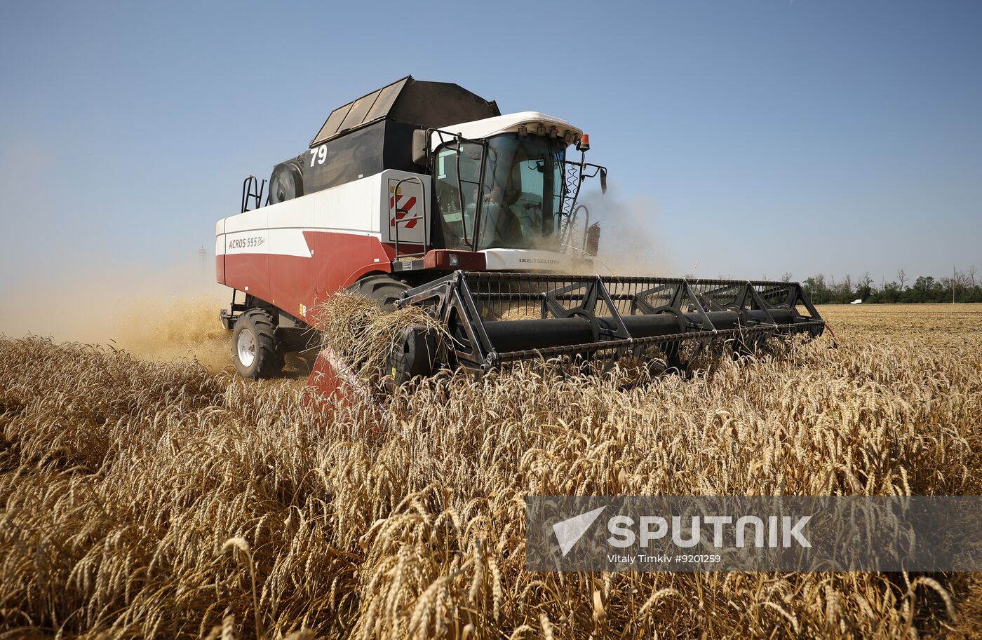 Russia Agriculture Wheat Harvesting