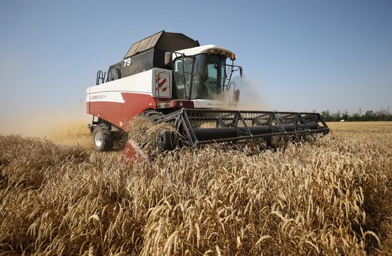 Russia Agriculture Wheat Harvesting