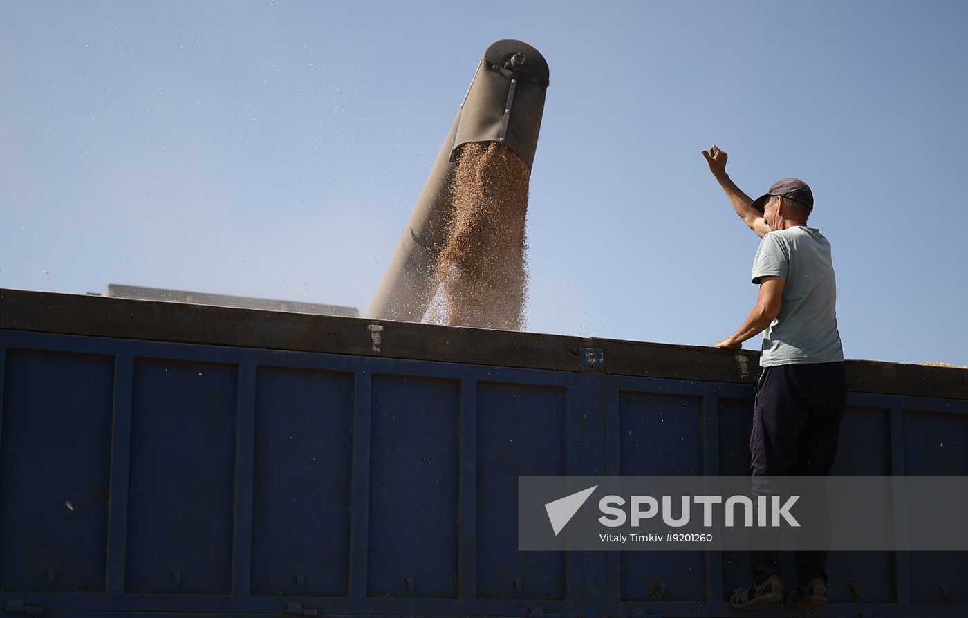 Russia Agriculture Wheat Harvesting