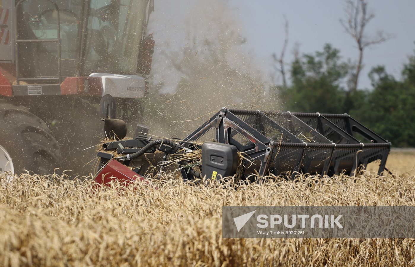 Russia Agriculture Wheat Harvesting