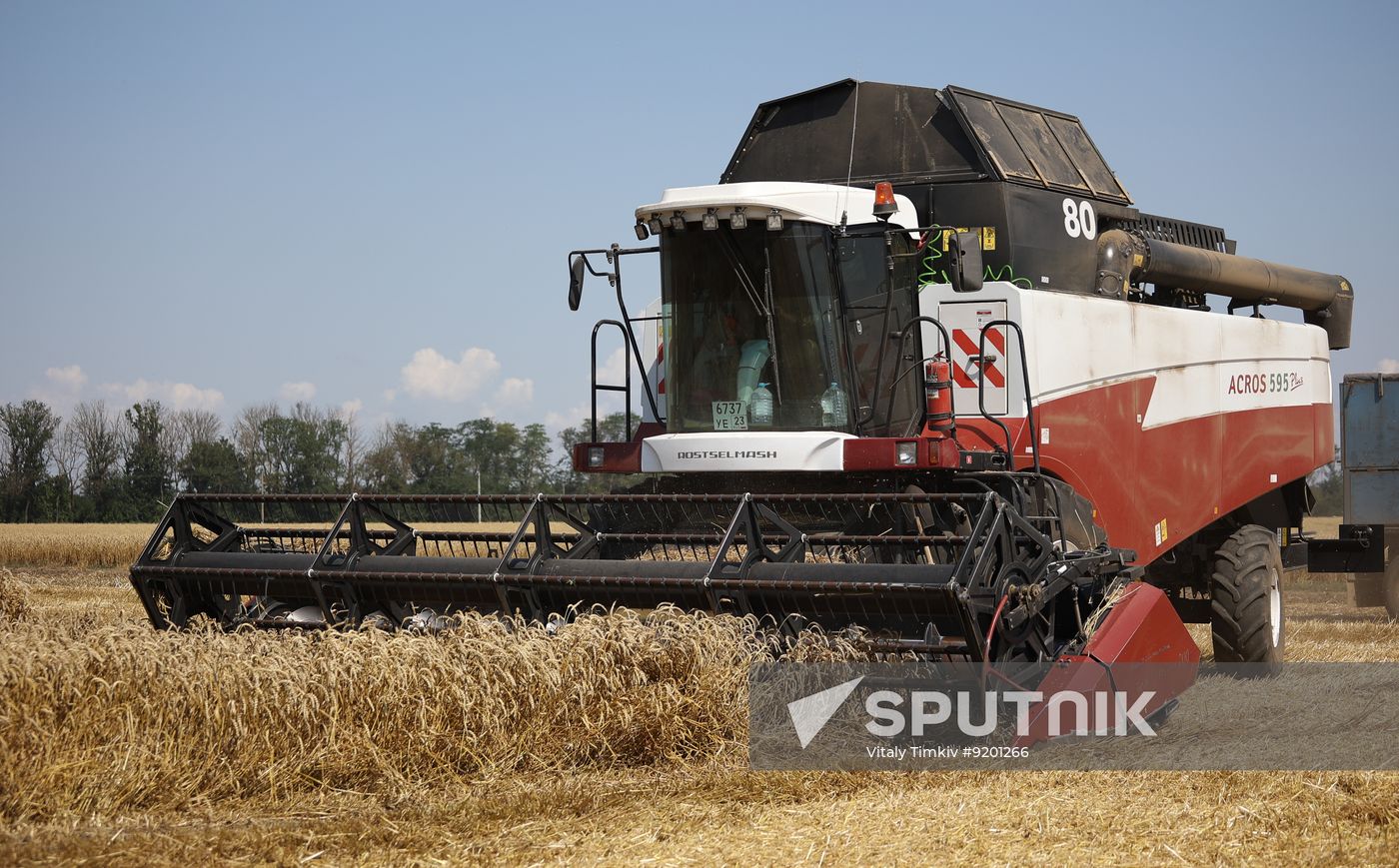 Russia Agriculture Wheat Harvesting