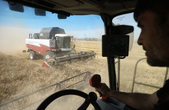 Russia Agriculture Wheat Harvesting