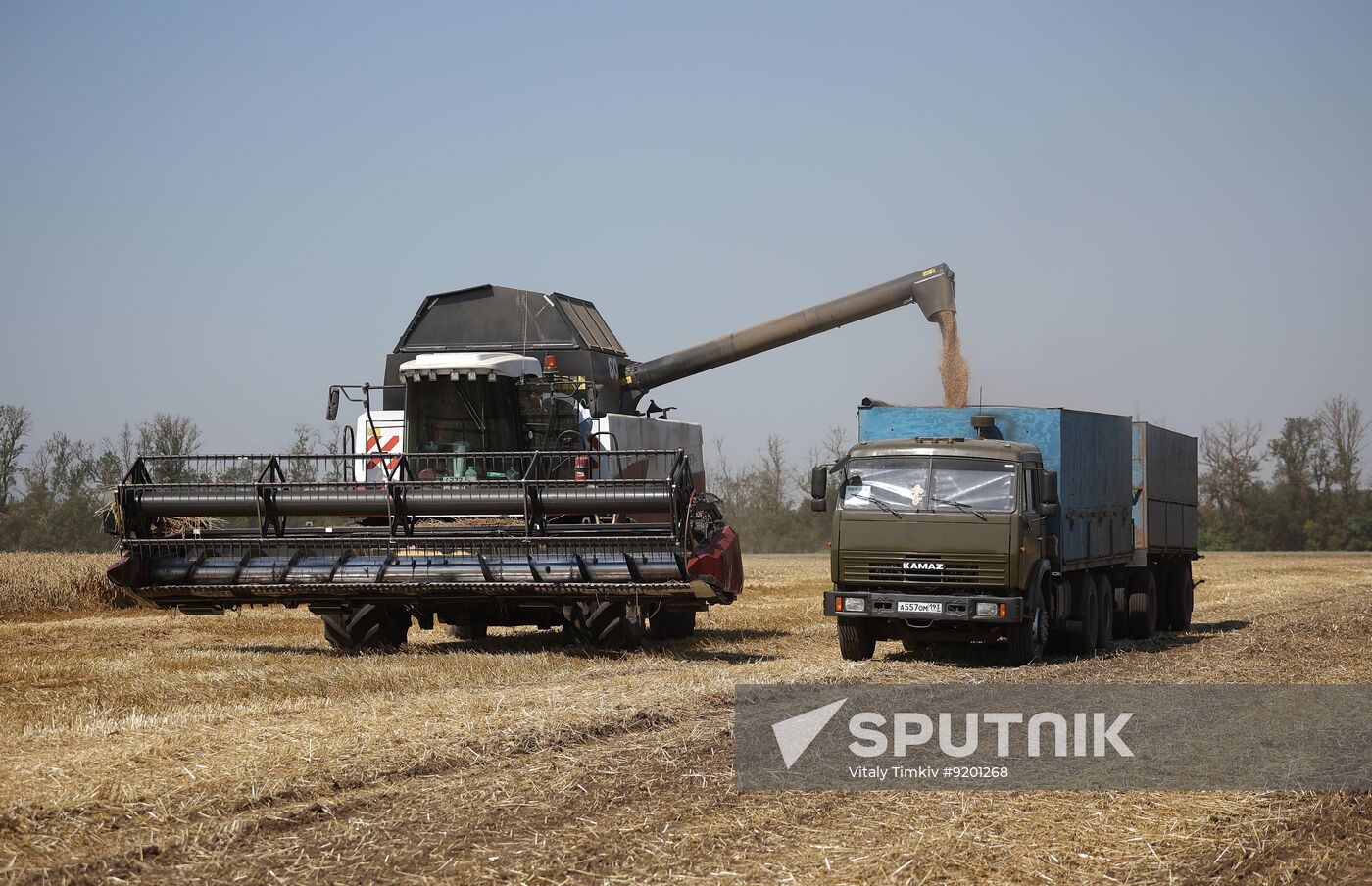 Russia Agriculture Wheat Harvesting
