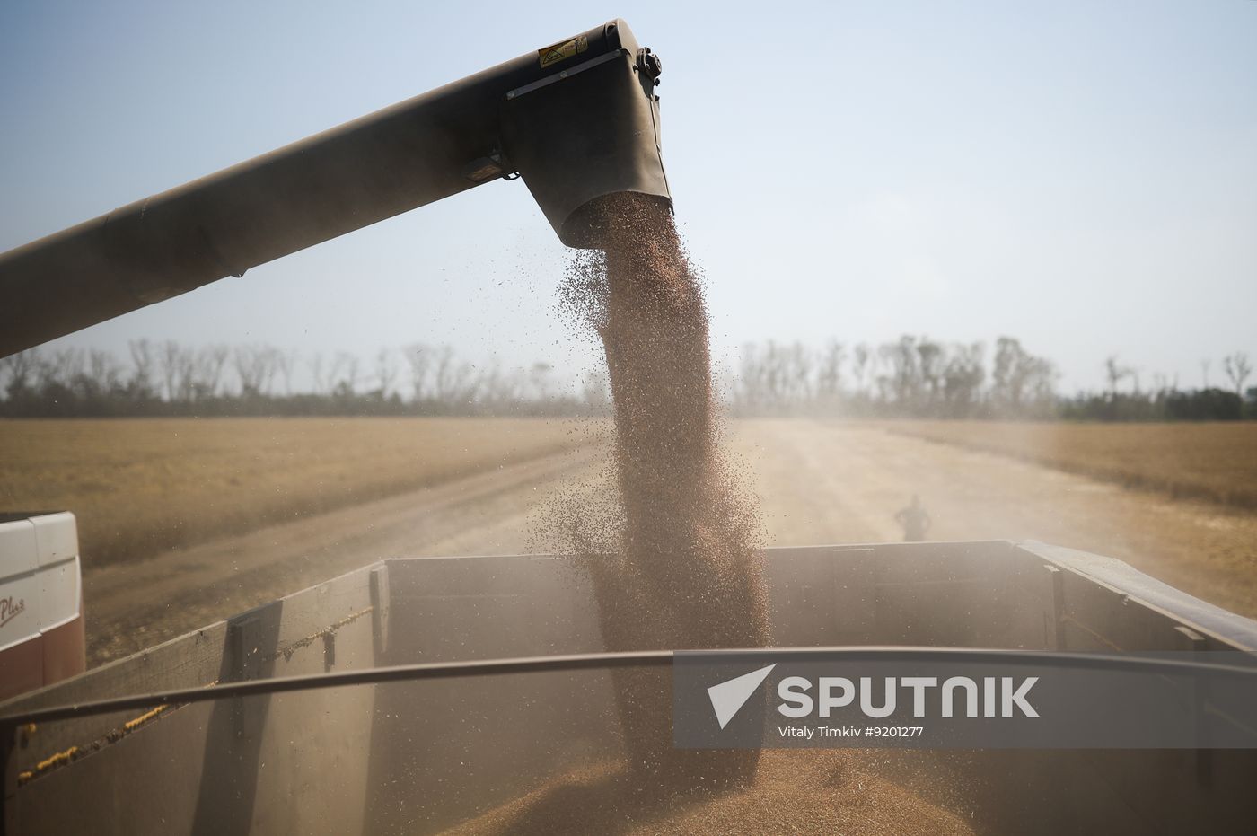 Russia Agriculture Wheat Harvesting