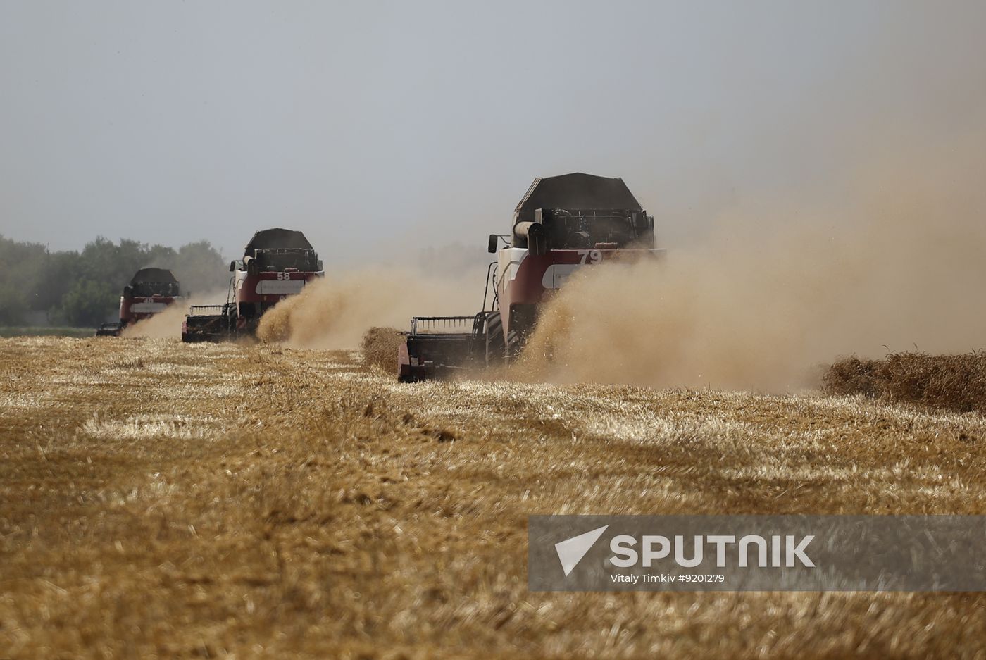 Russia Agriculture Wheat Harvesting
