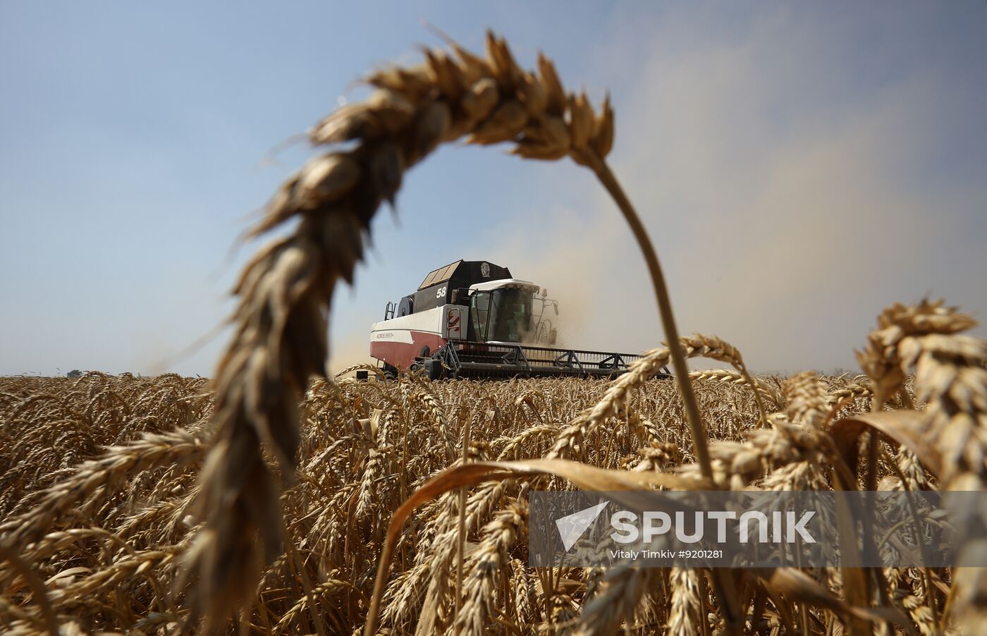 Russia Agriculture Wheat Harvesting