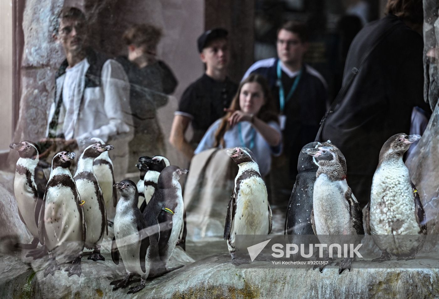 Russia Zoo