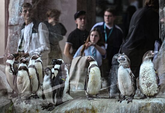 Russia Zoo