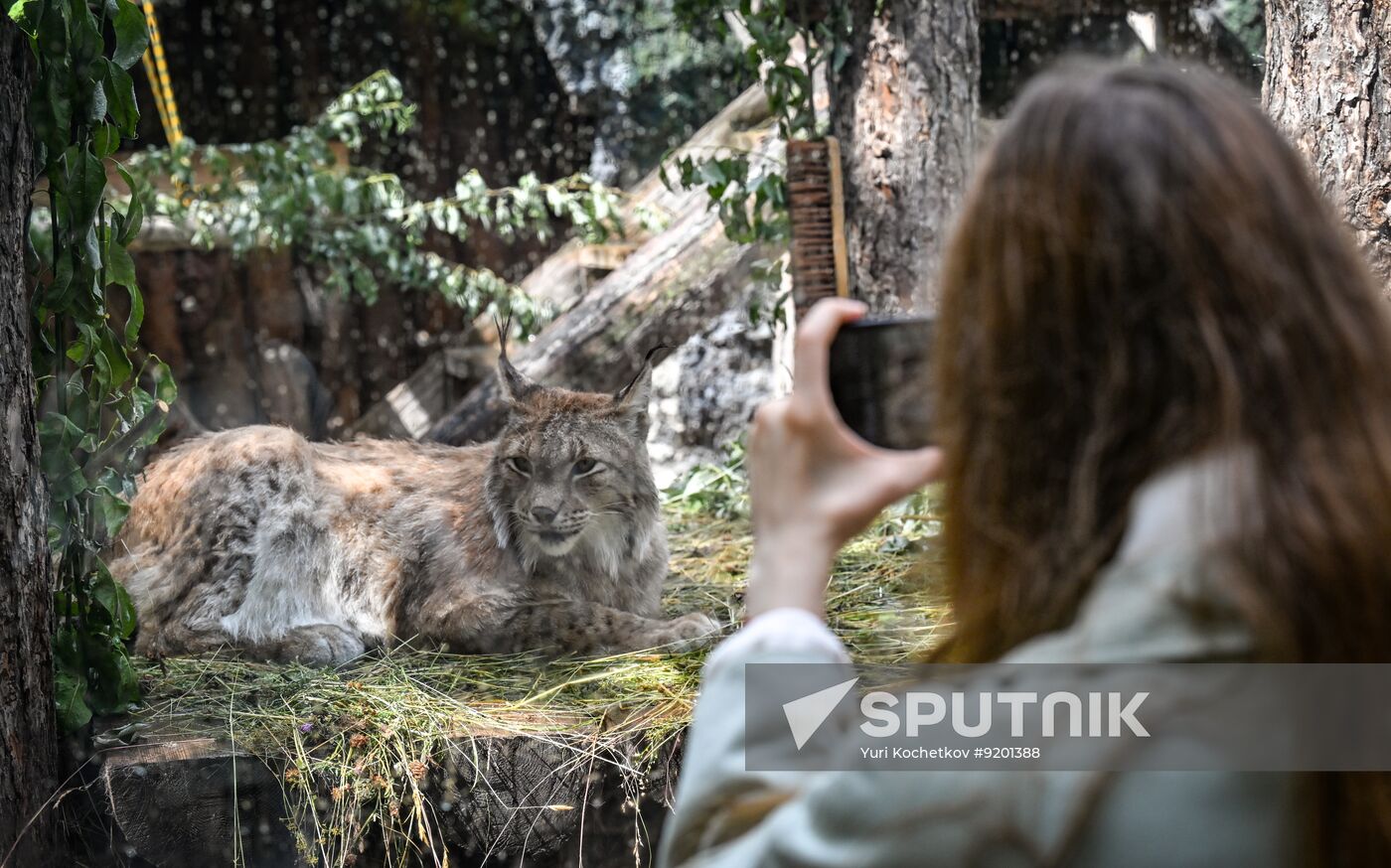 Russia Zoo