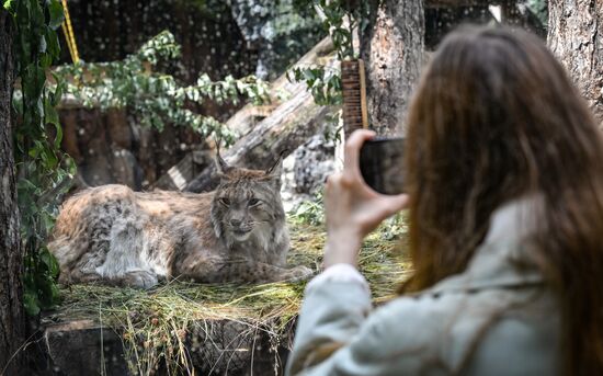 Russia Zoo