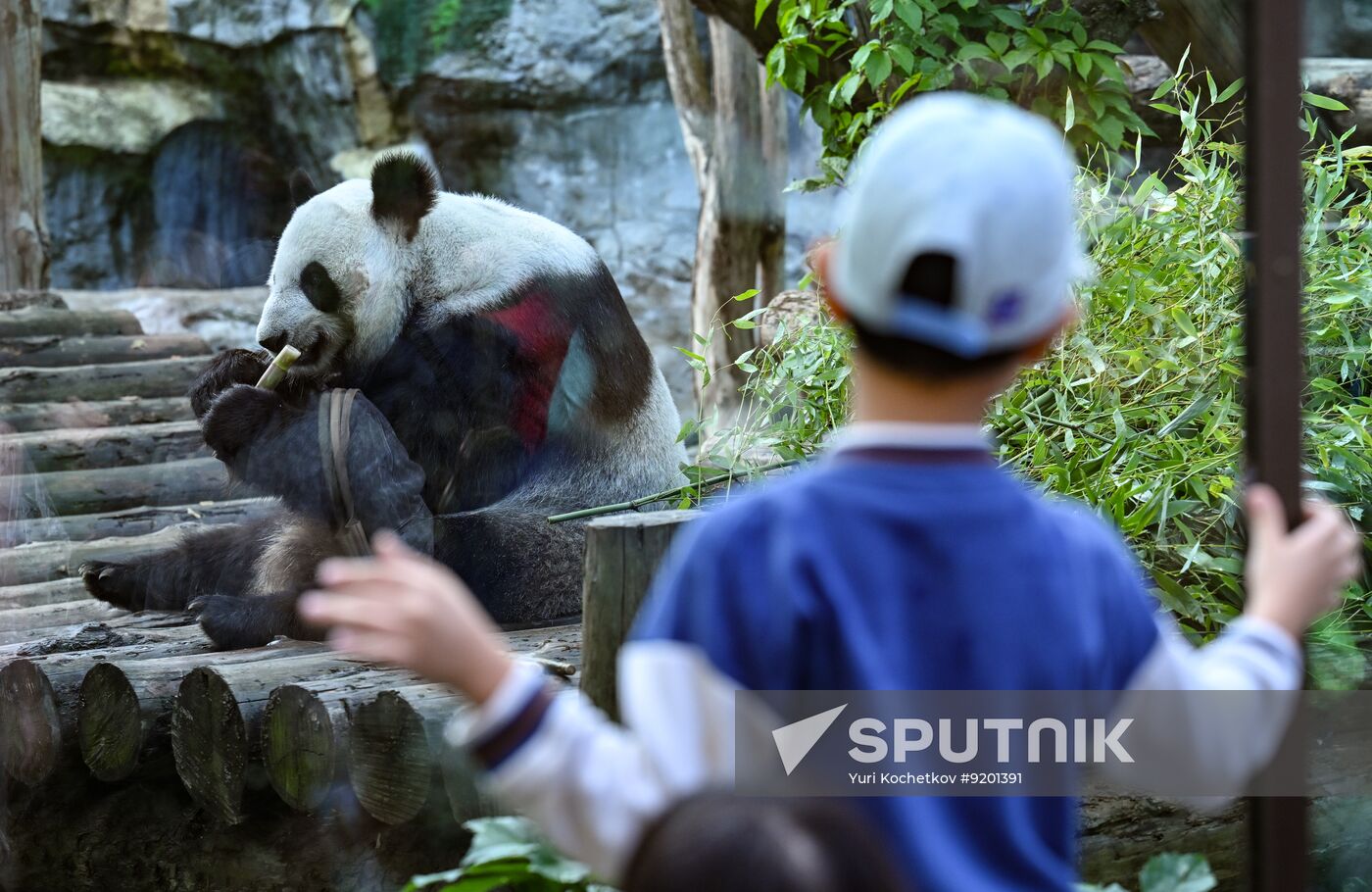 Russia Zoo
