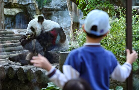Russia Zoo