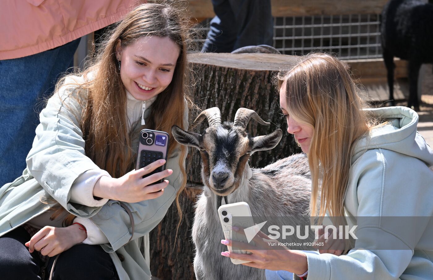 Russia Zoo