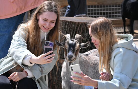 Russia Zoo