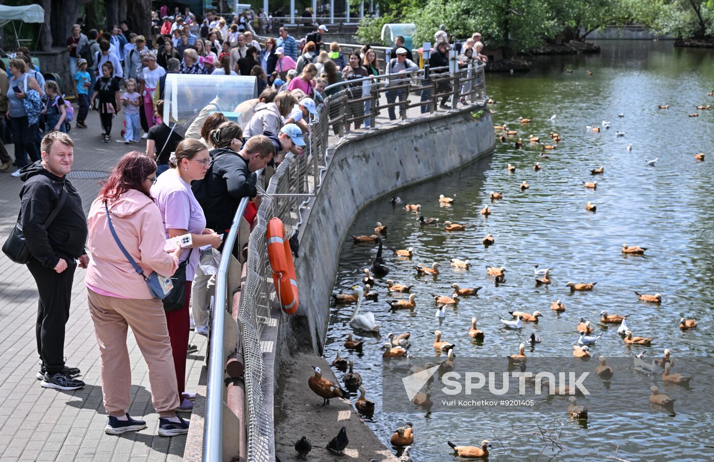 Russia Zoo