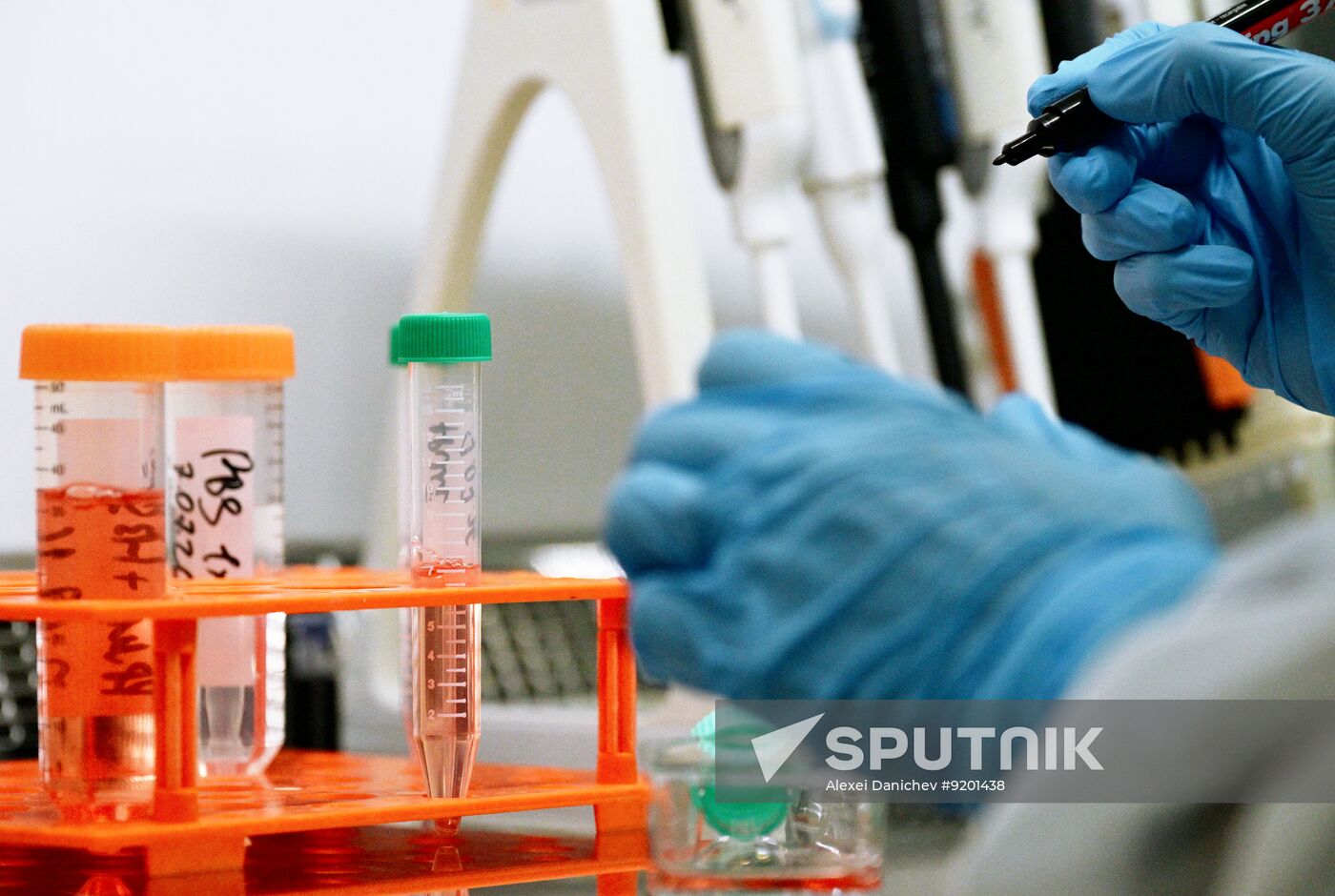 Russia Pharmaceutical Industry
