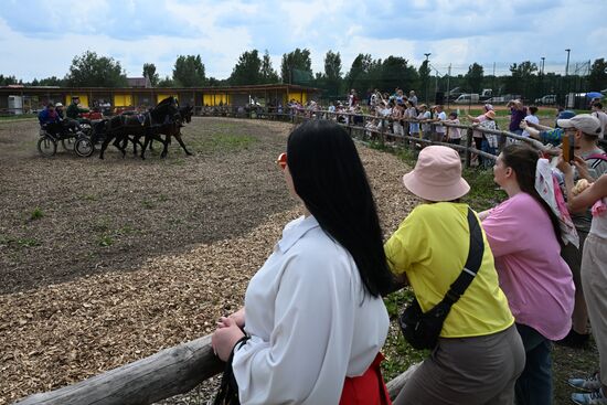Russia Equestrian Amateur Troika Championships