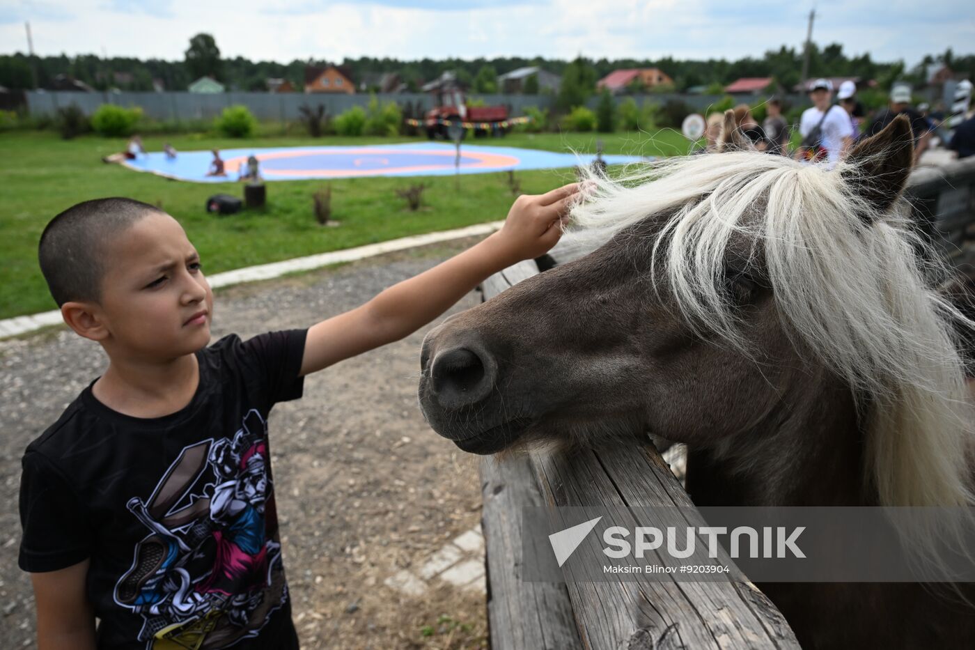 Russia Equestrian Amateur Troika Championships