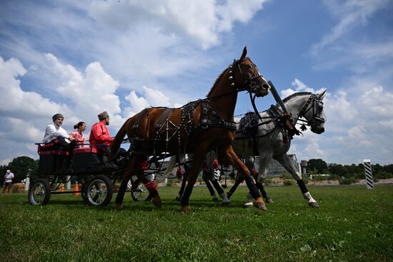 Russia Equestrian Amateur Troika Championships