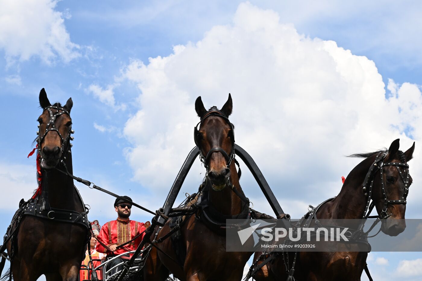 Russia Equestrian Amateur Troika Championships