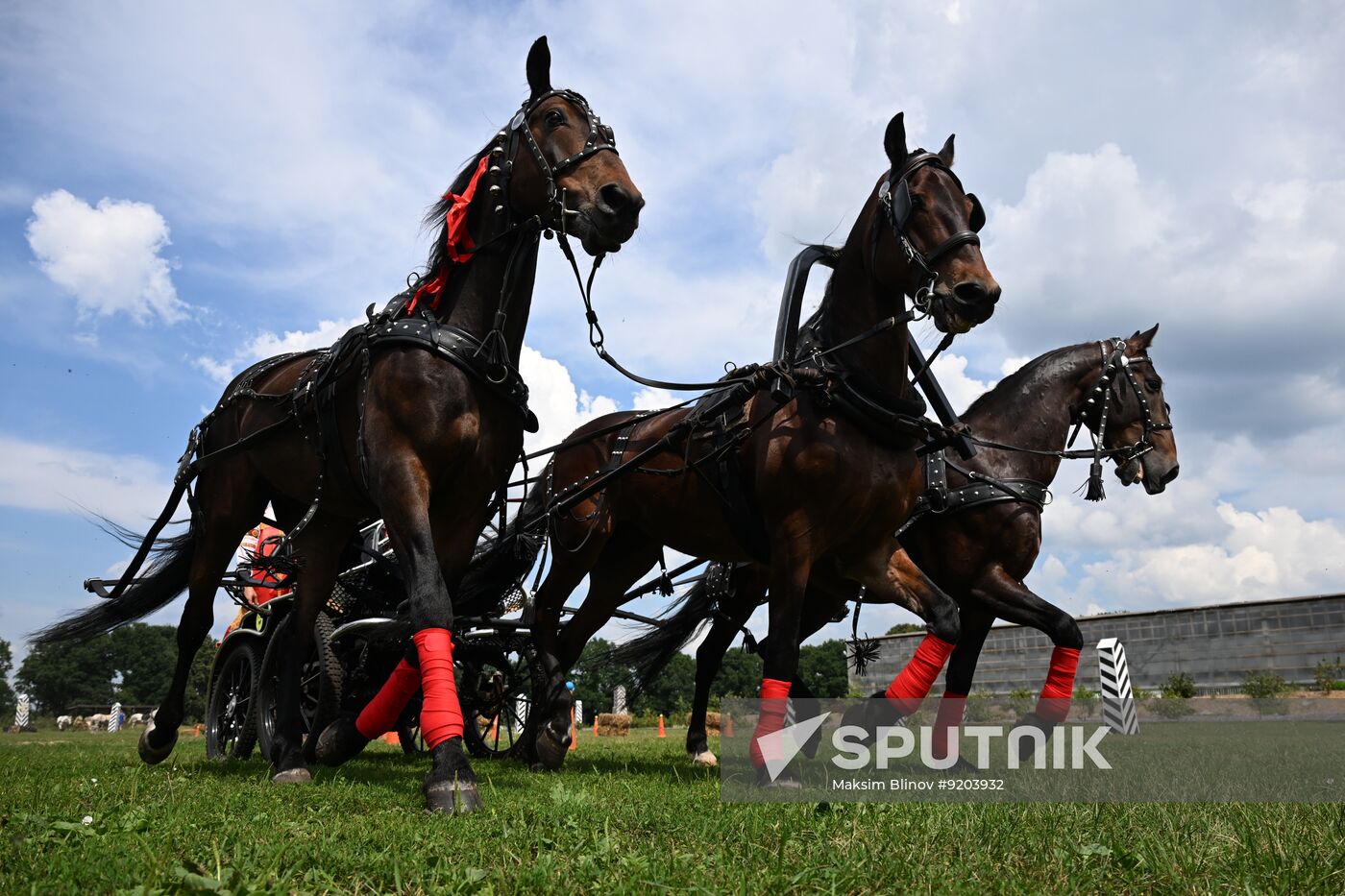 Russia Equestrian Amateur Troika Championships
