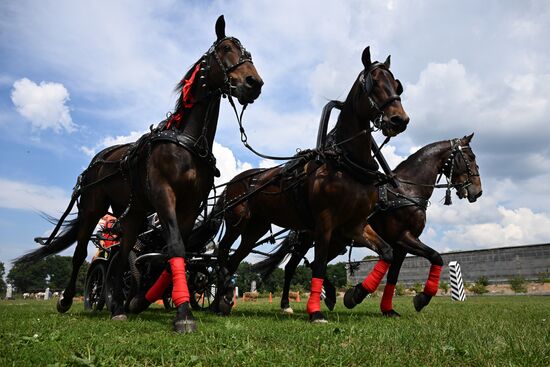 Russia Equestrian Amateur Troika Championships
