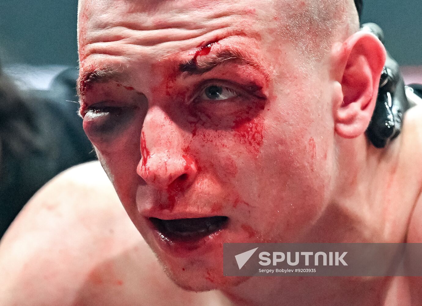 Russia Boxing IBA PRO 19