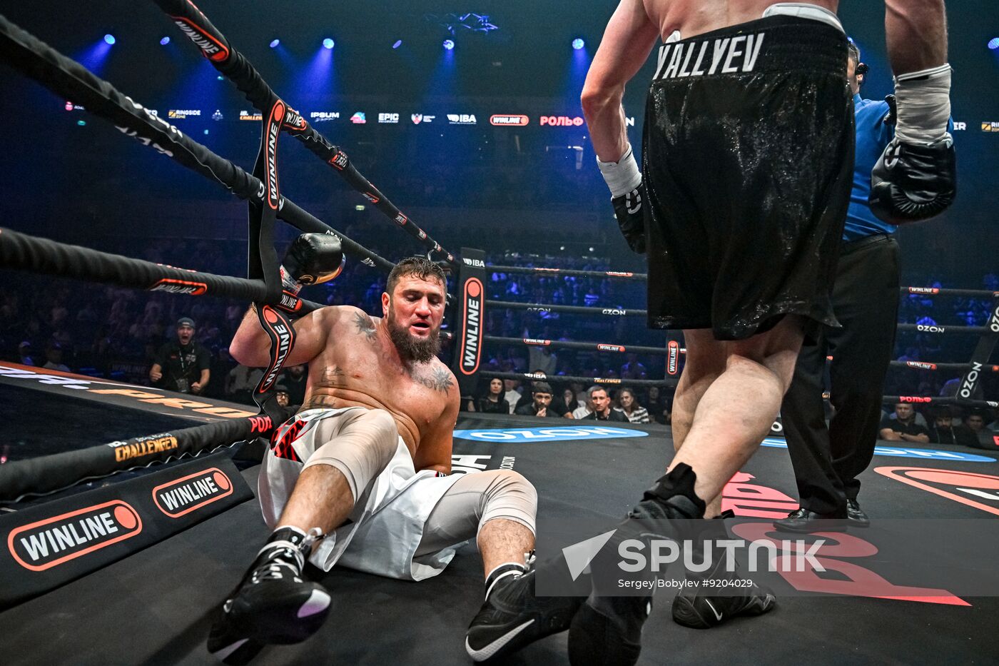 Russia Boxing IBA PRO 19