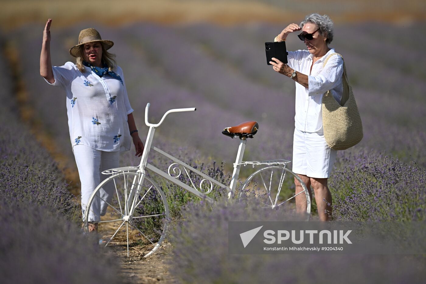 Russia Lavender Fields