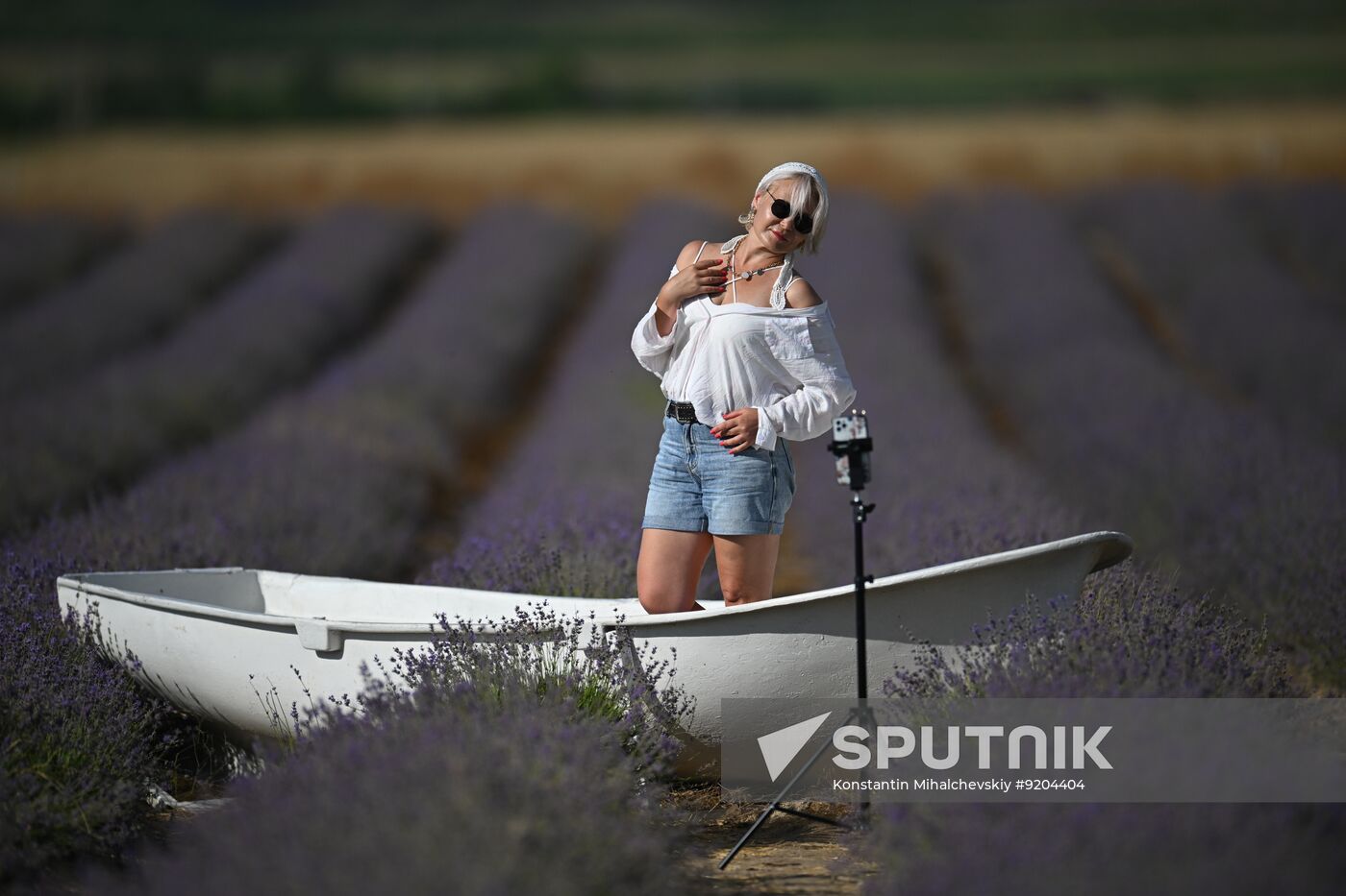 Russia Lavender Fields