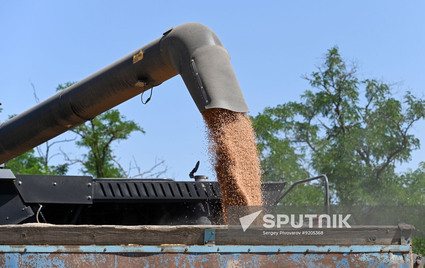 Russia Agriculture Wheat Harvesting