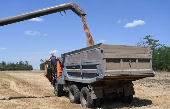 Russia Agriculture Wheat Harvesting