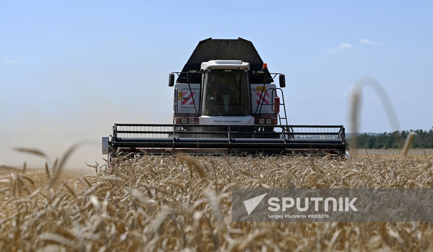Russia Agriculture Wheat Harvesting