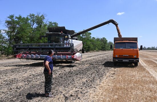 Russia Agriculture Wheat Harvesting