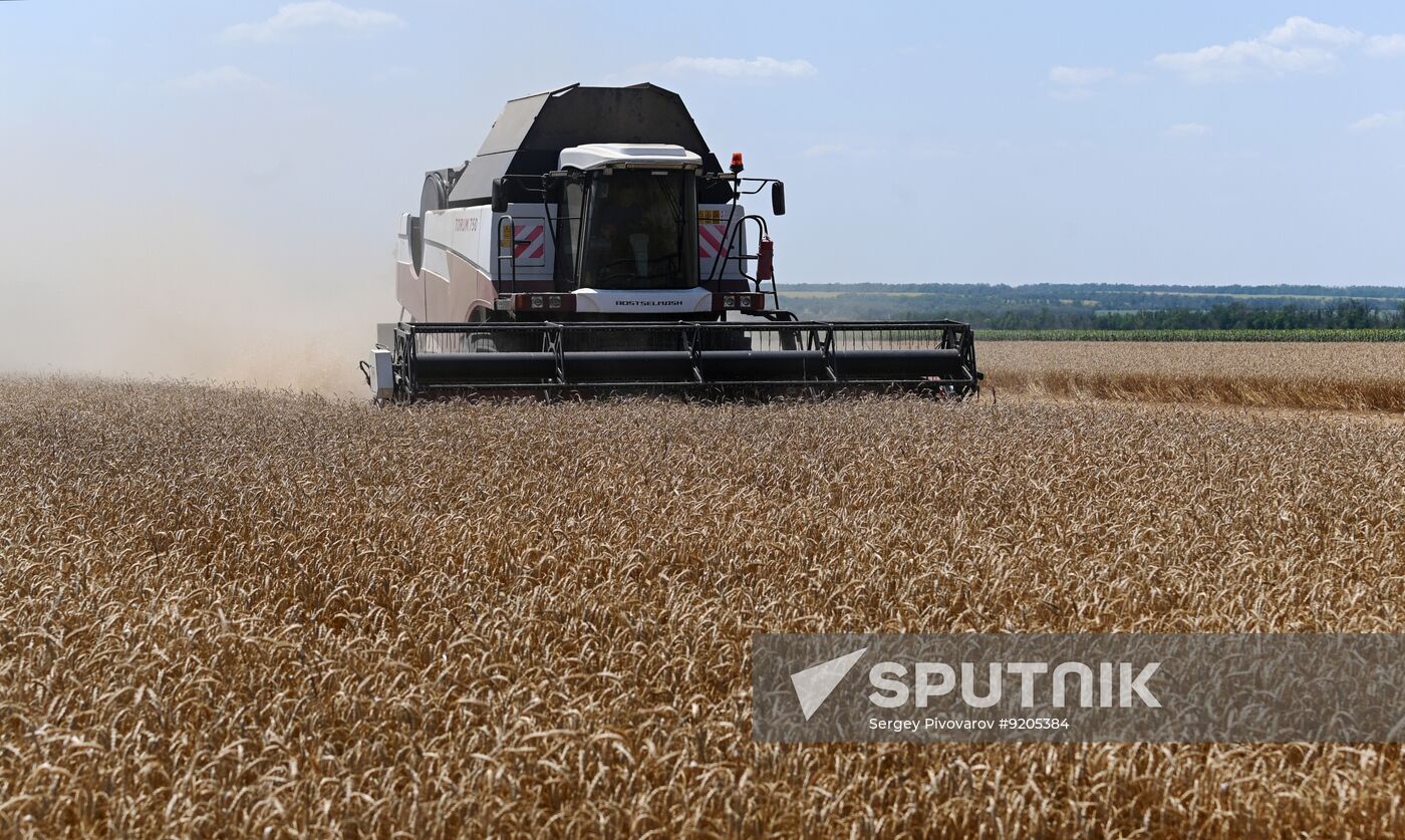 Russia Agriculture Wheat Harvesting