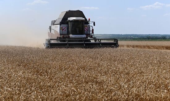 Russia Agriculture Wheat Harvesting