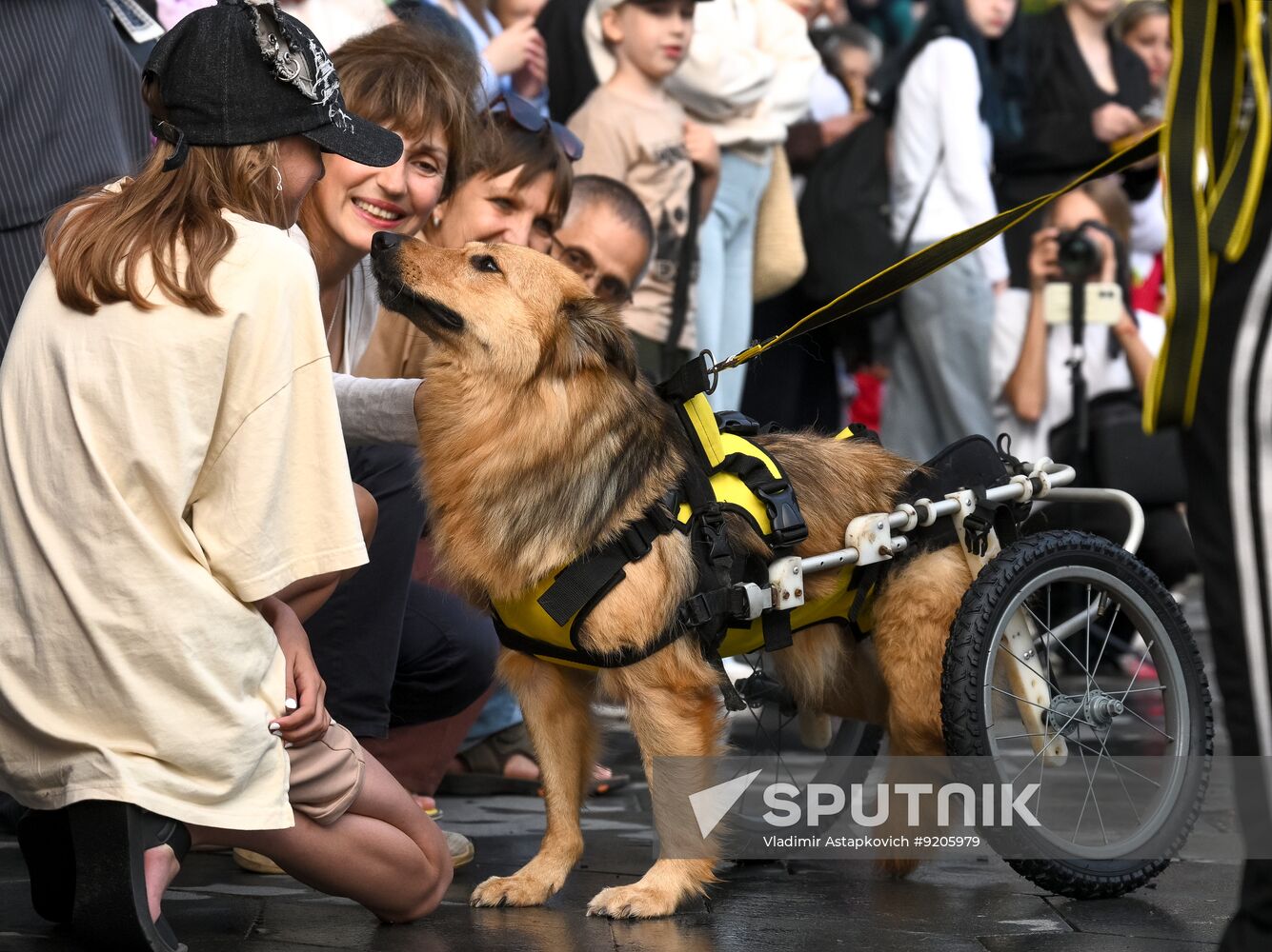Russia Dog Parade