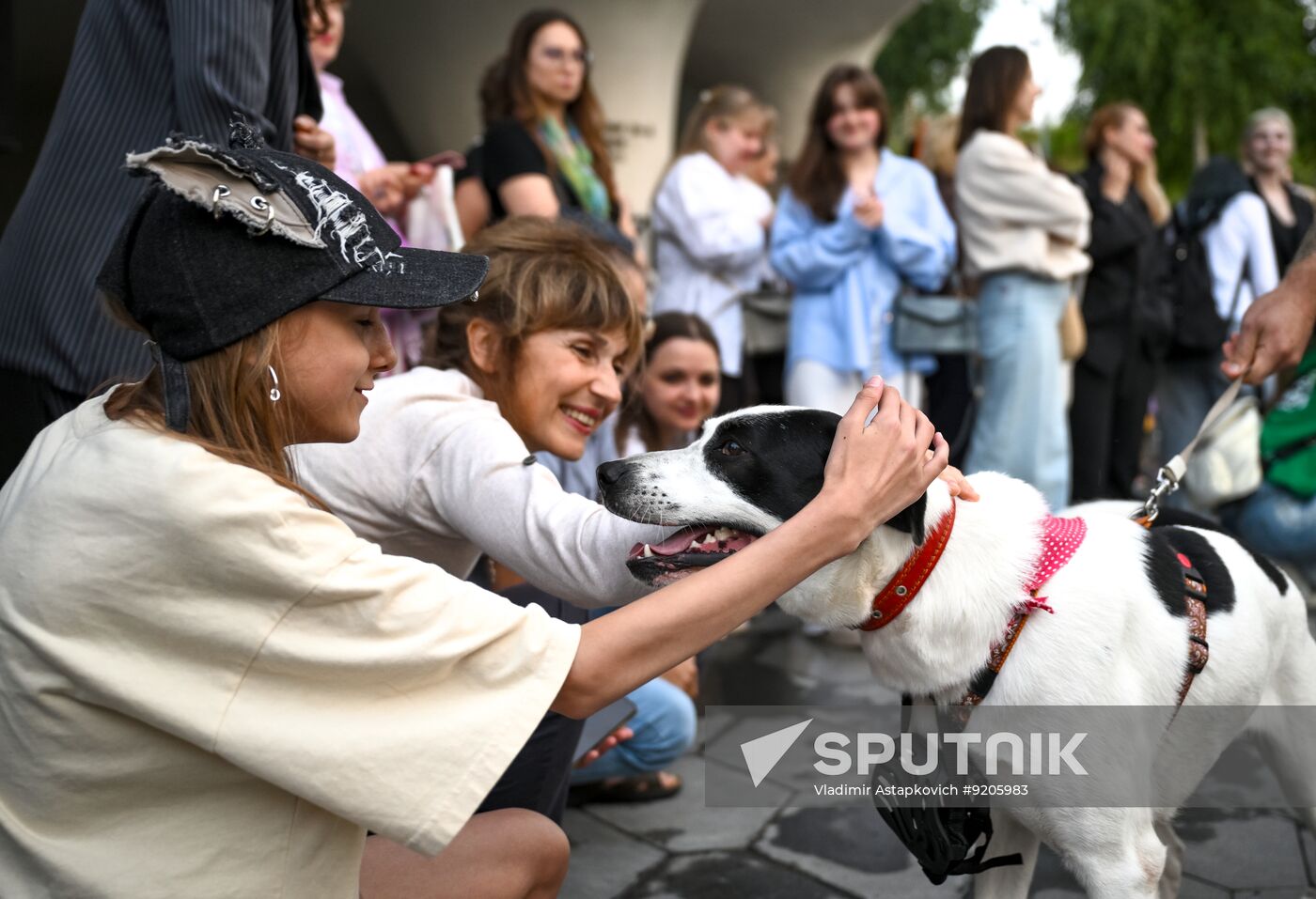 Russia Dog Parade